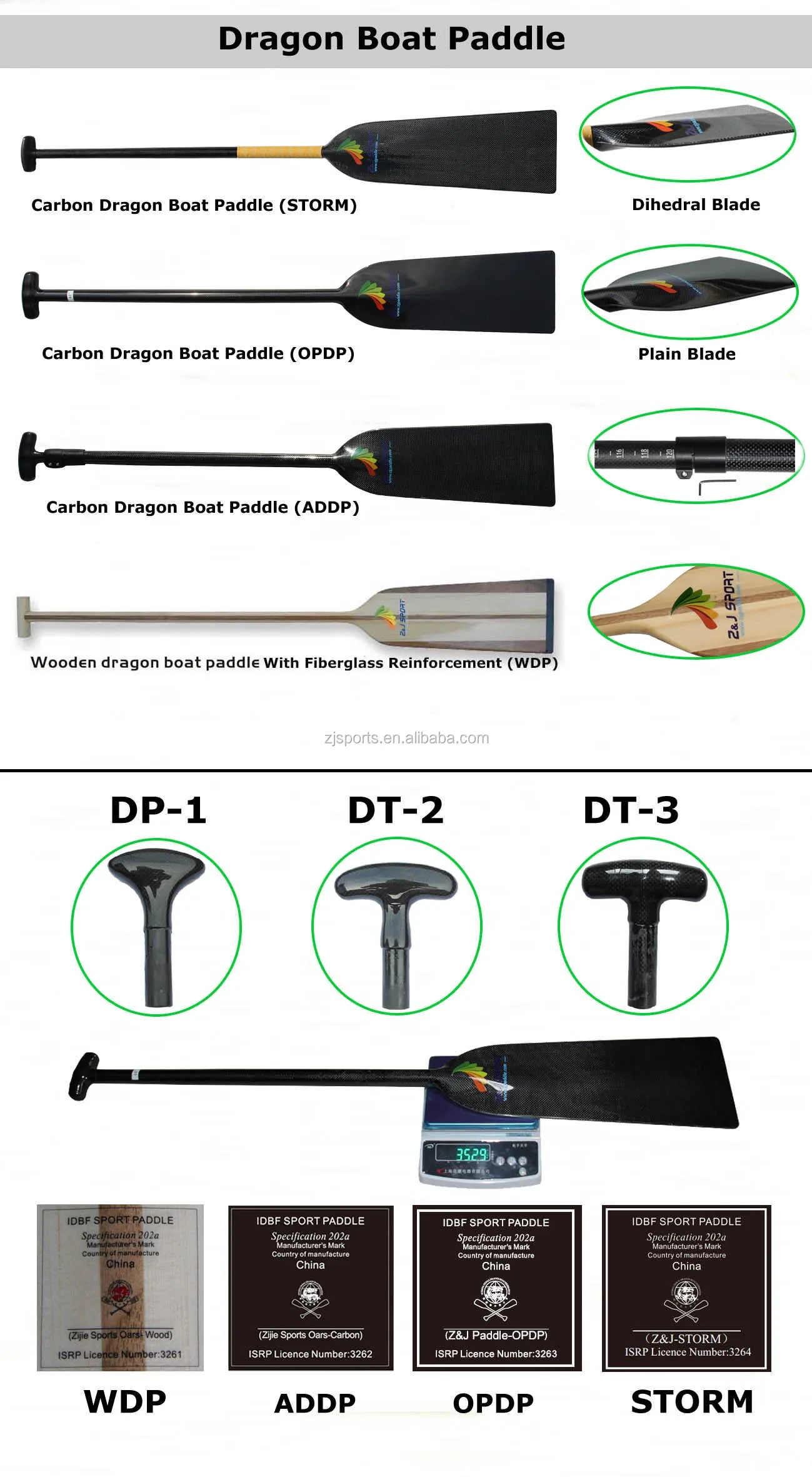 Dragon Boat Paddle.jpg