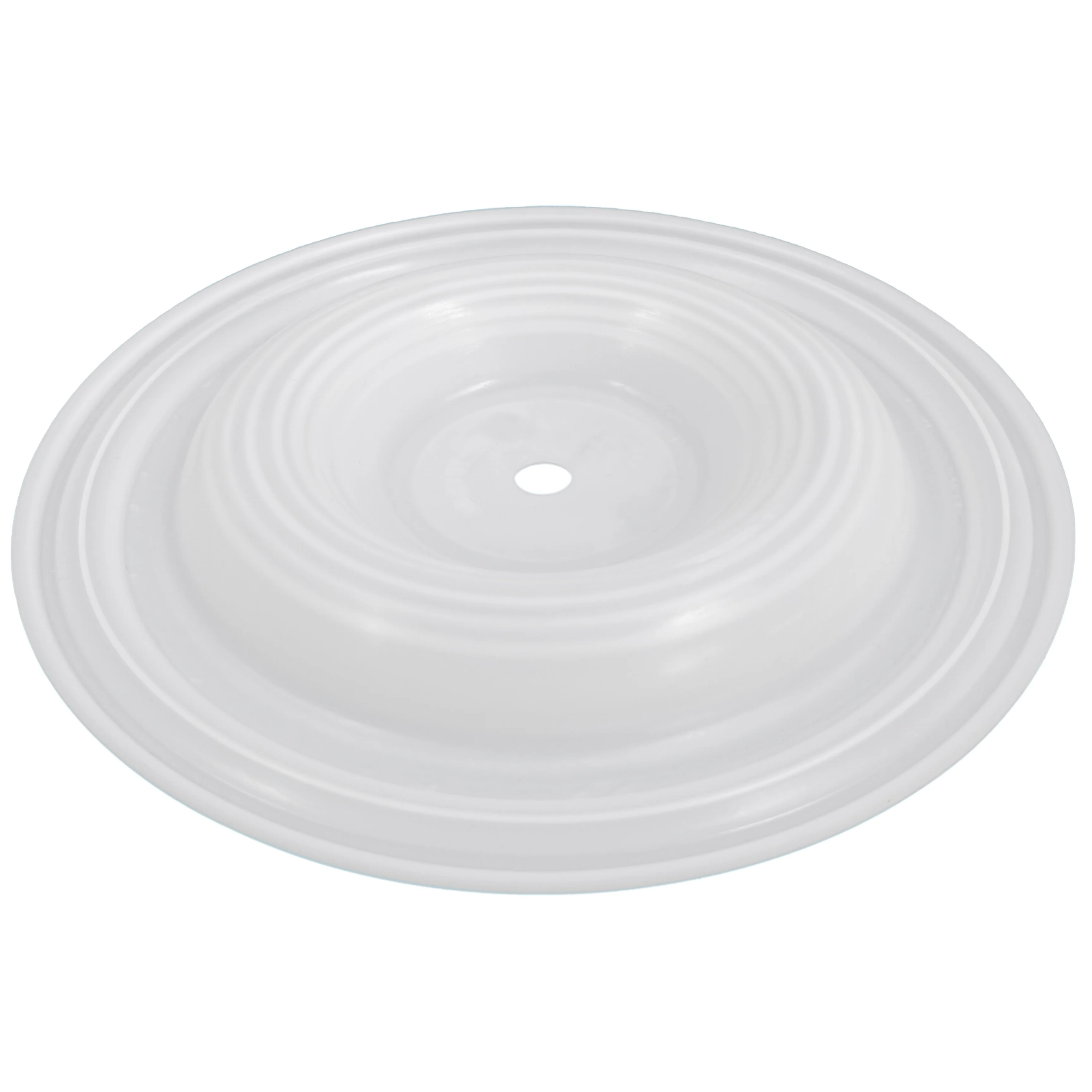 CF01-1010-55 Diaphragm