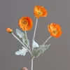 Arancione