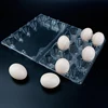 15 holes egg tray