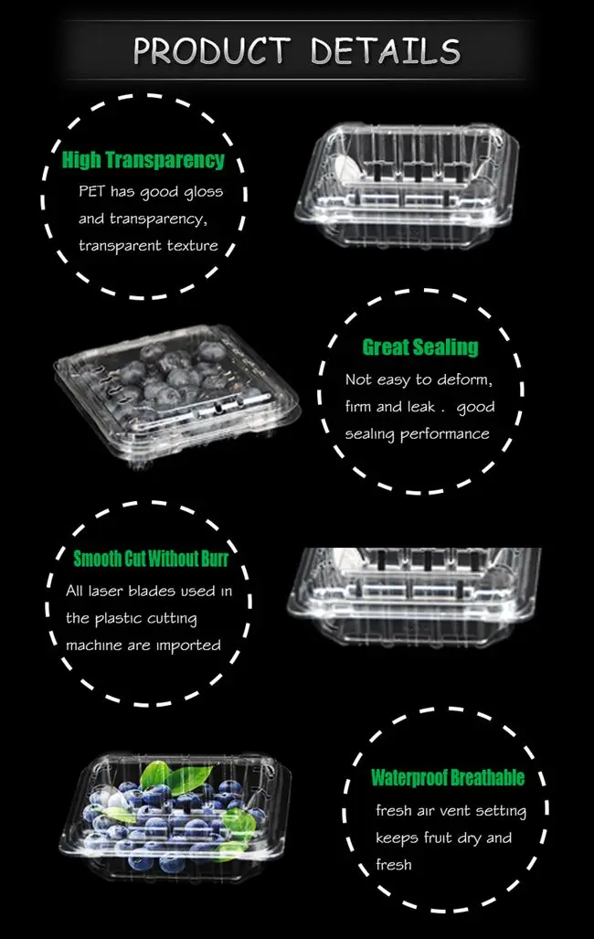 125g Clear Plastic Blueberry Box - Disposable Clamshell