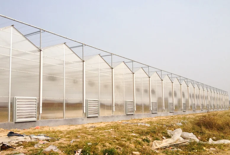 Greenhouse Polycarbonate sheet