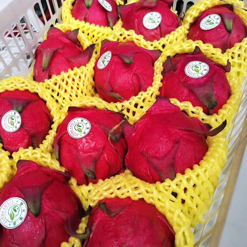 Apples Foam High Quality Poly Net Packaging Tubular Netting