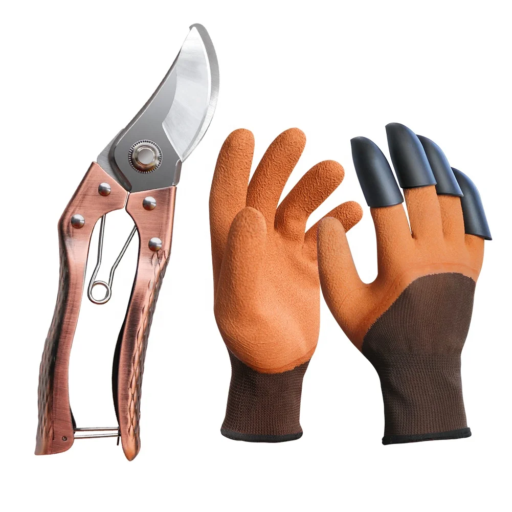 gardening gloves and secateurs