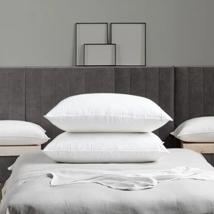 Hotel Collection Modern Solid Neck Support 100% Cotton Down Filling 400TC Customizable Pillow