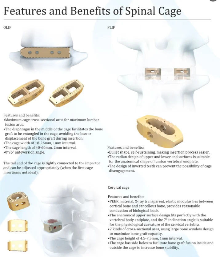 Medical PEEK Cage Implant