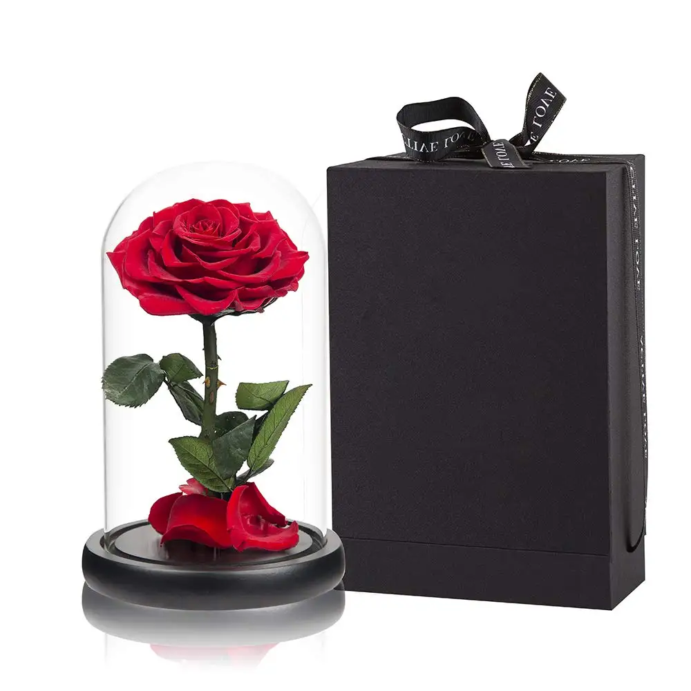 Uo-rosa Roja Preservada En Cúpula De Cristal,Caja De Regalo De Rosas Reales  Para El Día De San Valentín,Regalos De Cumpleaños - Buy Y Rosa,Real Rosas  Flores,Rosa En Cúpula De Vidrio Product on