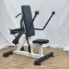 RELOADED TRICEP KICKBACK/DIP