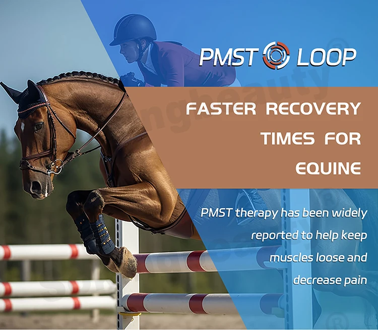 Horses Pulsed Field Pmst Loop For Horses Pain Relief