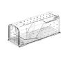 Transparente