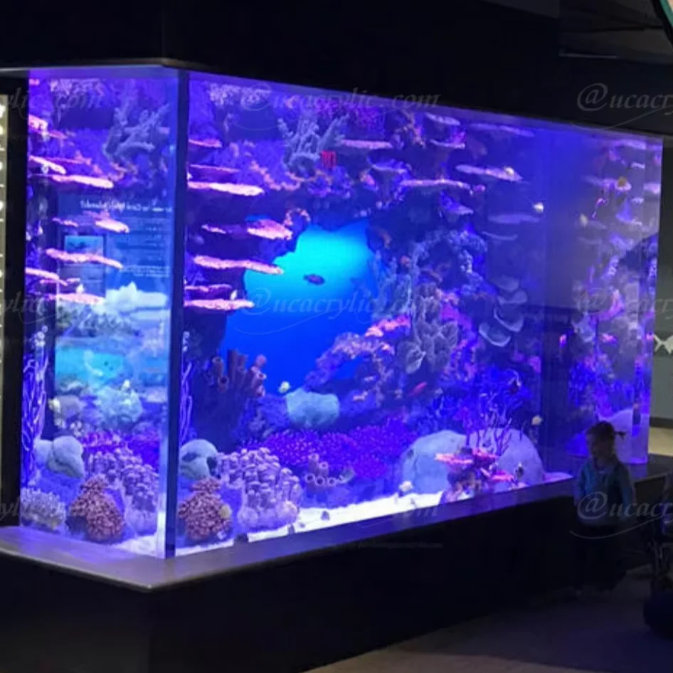 カスタム大型リビングルーム水槽アクリル製大型魚槽アクアリウム 
