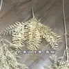 A bunch of crescent champagne