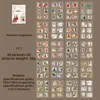 C Fashion magazines(brown)
