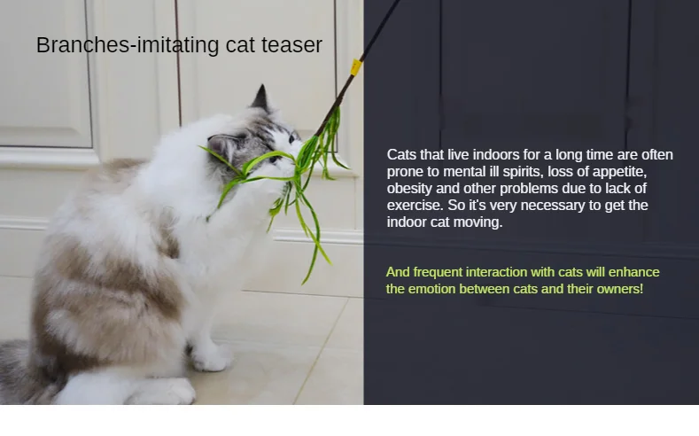 Cat toy packaging and delivery
