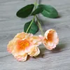 Arancione