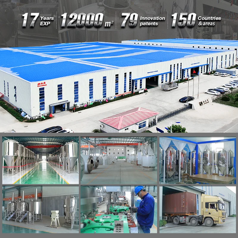 100l 200l 300l Fermenter Beer/new Fermenter/fermenting Machine Price