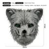 Gray Fox
