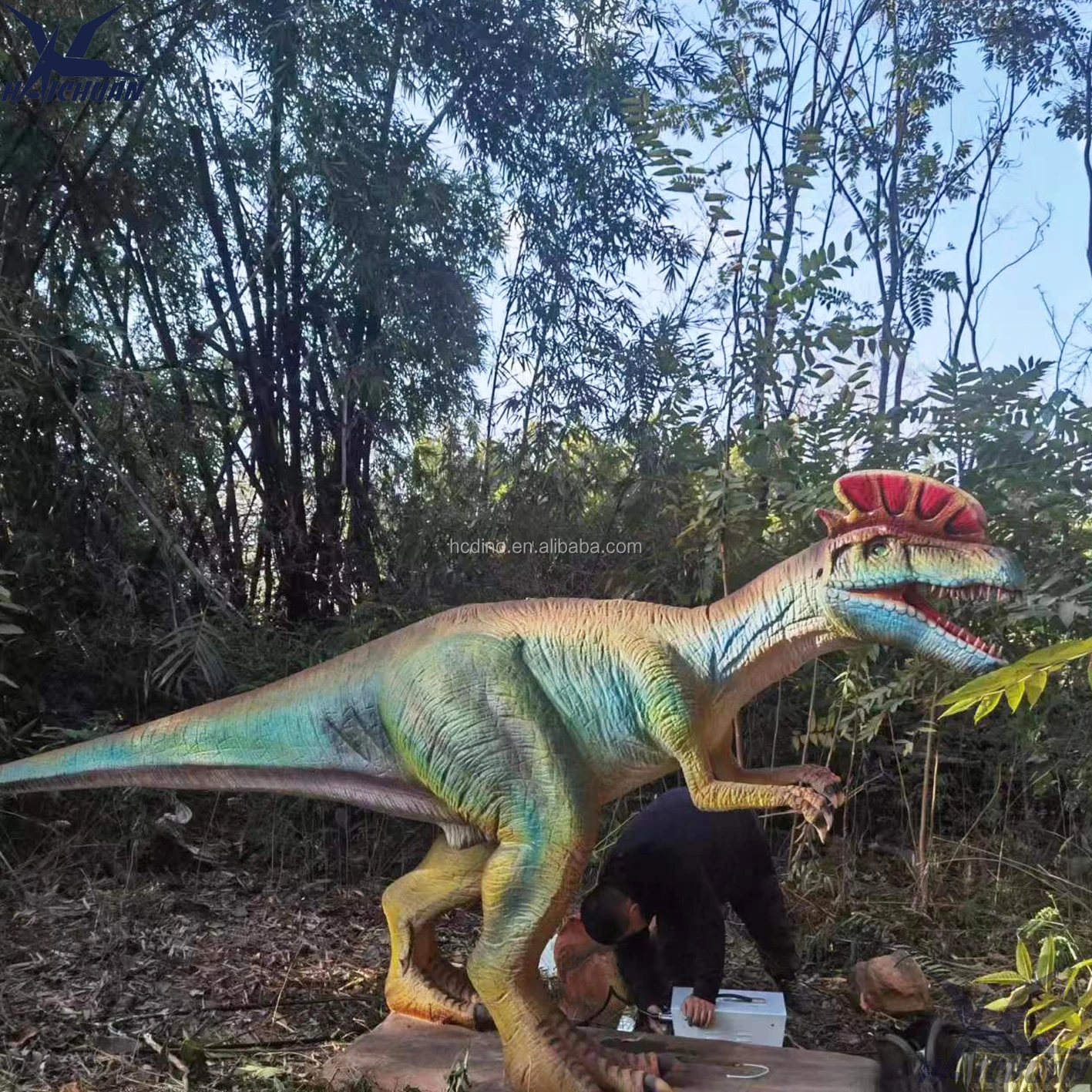 Scene image