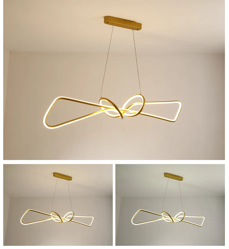 Designer Classics acrylic Fixture Decorative Hanging LED pendant lamp