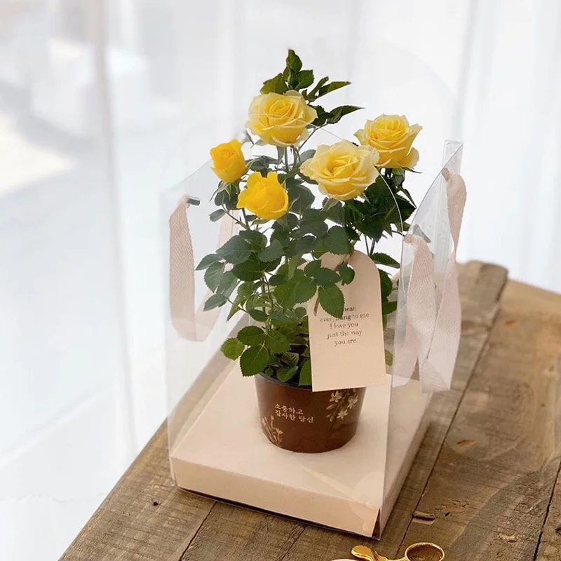 Pvc透明迷你花盆手提袋方形透明花盒 Buy 花卉礼品盒 花卉包装盒 带丝带礼品盒product On Alibaba Com