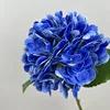 Blue 182 film hydrangea