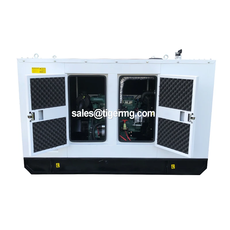 250Kva Single Phase Diesel Generator with Remote Start Air Cooled & Copper Radiator Competitive Price