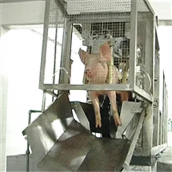 Pig slaughterhouse turnkey project pork processing and slaughtering equipment