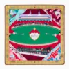 Multi Mat-17 Rose Derby