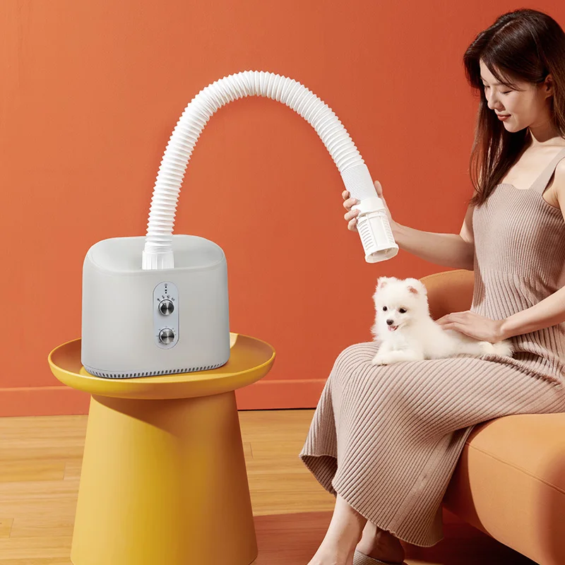 Multi-Functional Dryer Shoe Clothes Drying Mite Exterminator Pet Dry Pollen Against Rainy Season Futon Dryer with Timer Setting
