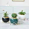iron frame pearl cotton white box packaging (excluding plants)