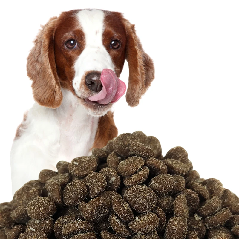 Oem Dog Food 10kg 20kg Natural Raw Dry Multiple Flavors All Age Dog
