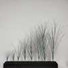 Verde-4