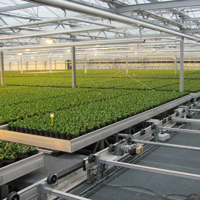 2x4 Flood Tray Tables - Efficient Hydroponic Solutions