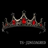 TS-J2853AGRED