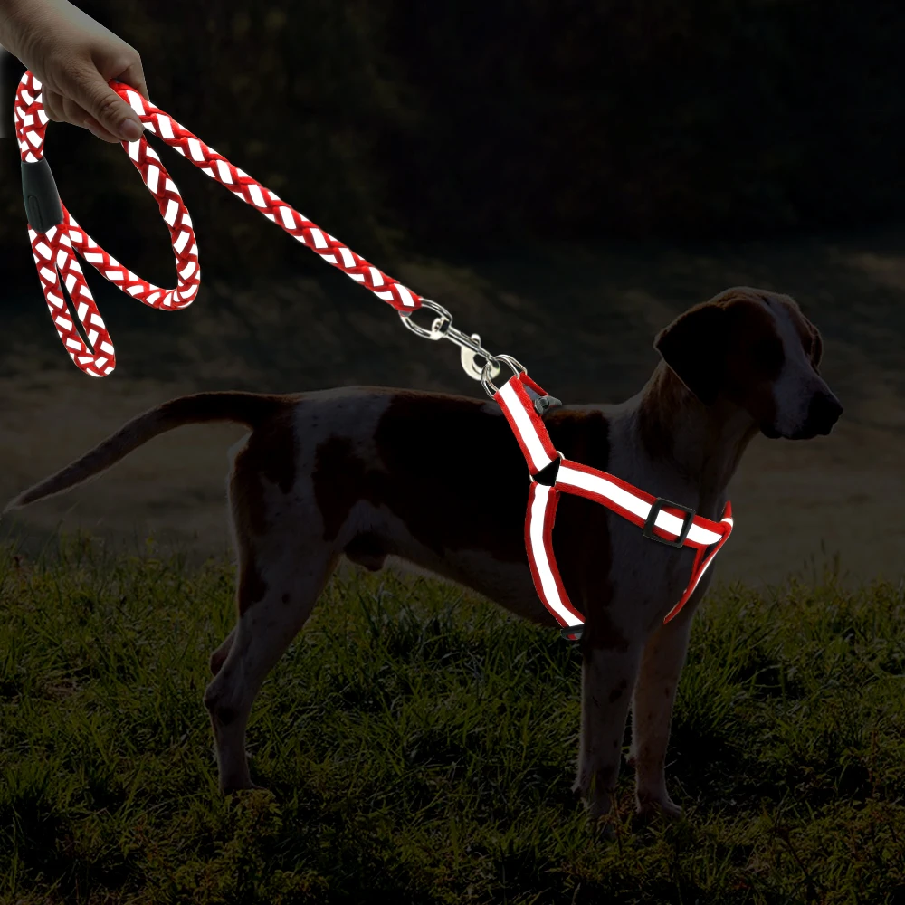 Good Quality Durable Reflective Nylon Pet Dog Collar With Harness And Leash Set details