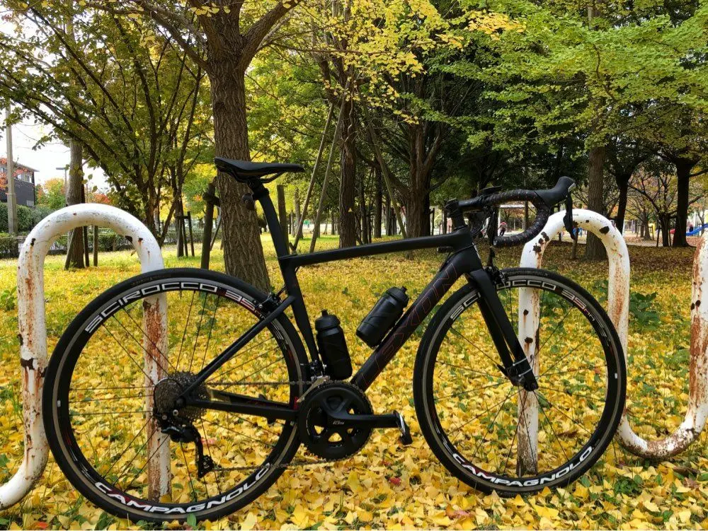 lexon road bike