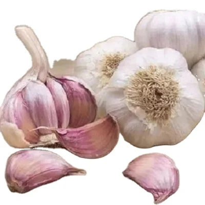 Chinese Bulk Fresh Natural Purple Garlic Price