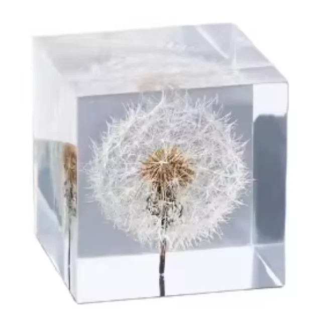 Custom Embedded Real Dandelion Resin Ball Epoxy Resin Craft Flower Decoration Plant Ornament Paperweight Glass Crystal Ball Gift