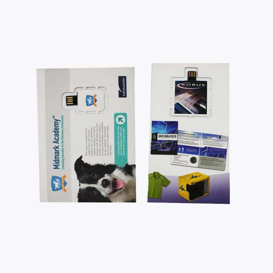 USB DIY Stick Webkey Full Color Paper Programmable Web Key and Customizable Gadget