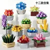Xingya premium 11104 succulent story