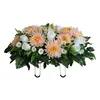 Bud-scented champagne chrysanthemum