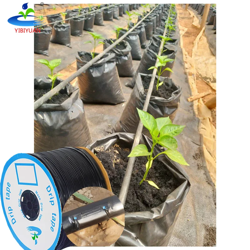 Farming 16mm Drip Irrigation Tape With Flat Emitter In-Line Double Hole 2000m Water Pipe Drip Irrigation System