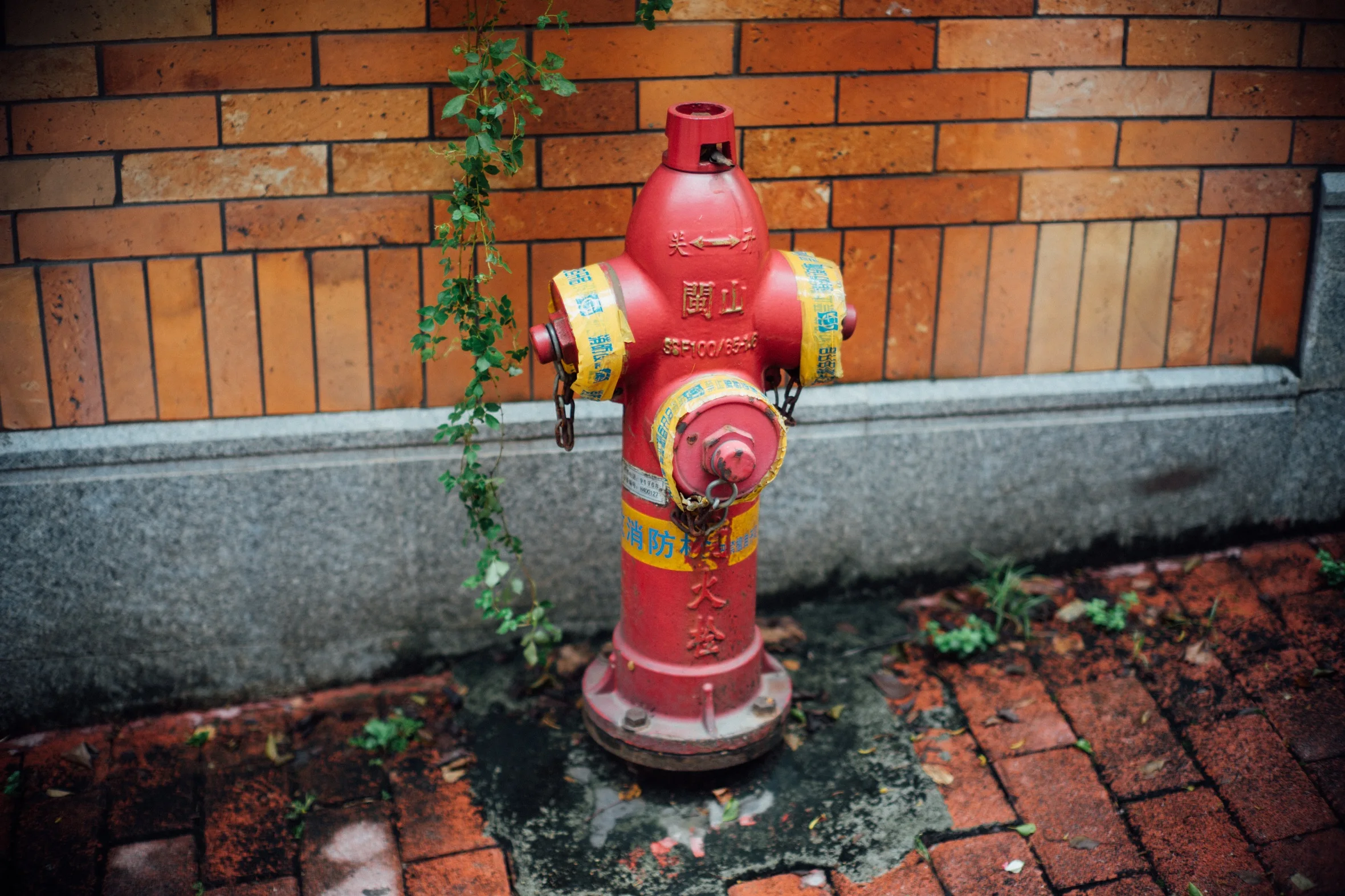 _DSC8833.jpg