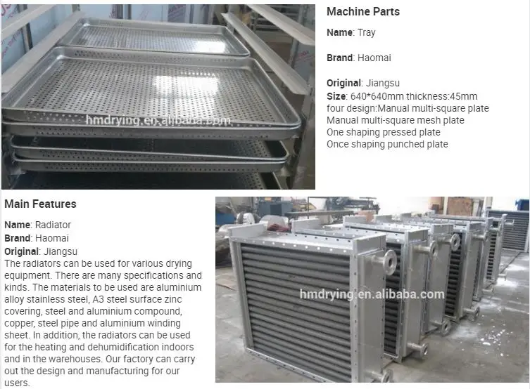 Drying Oven with Motor, Stainless, Steel - detail 30