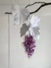 Uvas