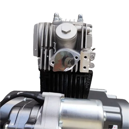 Zongshen 110cc Cdi 4 Stroke Motorcycle Engine - Oem Available