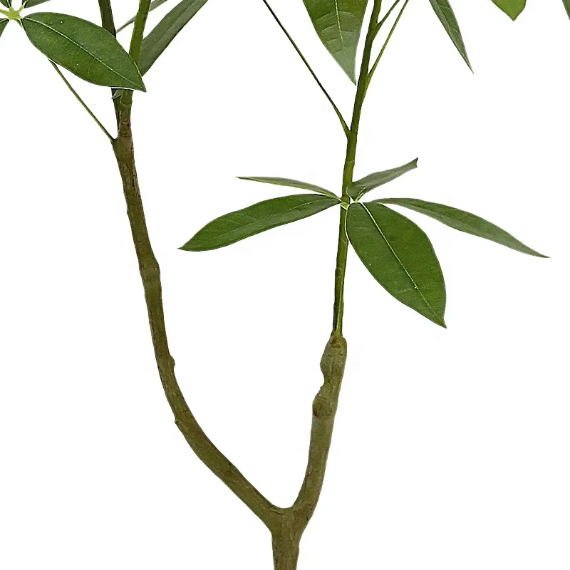 Factory Price Ocean Harvest High Simulation Artificial Money Plant Rich Tree Artifical Bonsai Tree