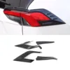 Carbon Fiber