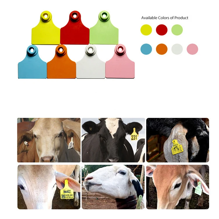 RFID bull ear tag-36.jpg