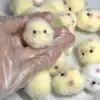 Plush chick-squeezable-yellow-pvc bag